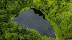 Akses Wisata Danau Sano Limbung Ditutup Sementara, Tangga Kayu Rusak dan Membahayakan Pengunjung