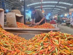 Harga Pangan Nasional Hari Ini Naik, Bawang Merah Tembus Rp54 Ribu dan Cabai Keriting Melonjak 10 Persen