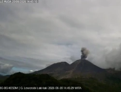 Gunung Lewotobi Laki-laki Erupsi Lagi, Muntahkan Kolom Abu Setinggi 600 Meter
