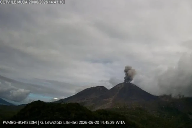 gunung lewotobi