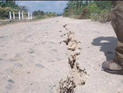 Jalan Tani Terbelah akibat Gempa di Nagekeo, Petani Boba Cemas Ada Lubang Sedalam 6 Meter