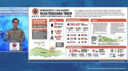 Sebulan Pascagempa Flores, BNPB Catat 142 Orang Meninggal dan 46.461 Masih Mengungsi